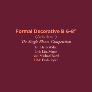 Formal Decorative B 6 Professional